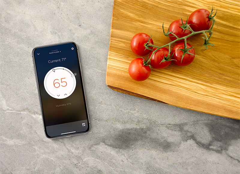 Savant Home Automation Pro App Climate Control