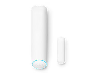 Google Nest Detect