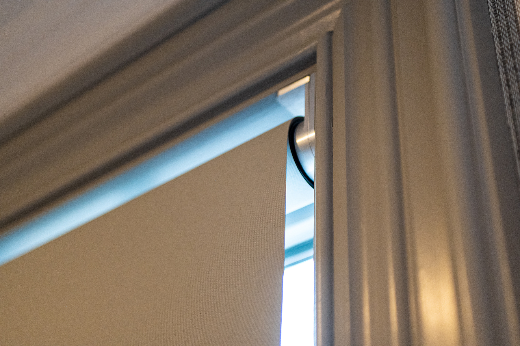 Lutron palladiom shade